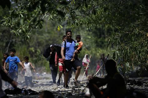 Más De 200 000 Migrantes Atravesaron La Selva Del Darién En 2023 Un