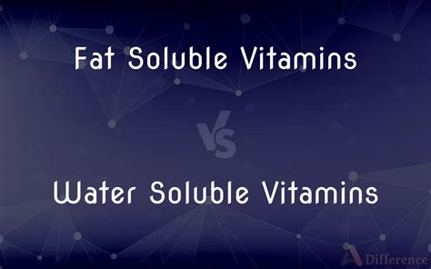 Fat Soluble Vitamins Vs Water Soluble Vitamins Whats The Difference