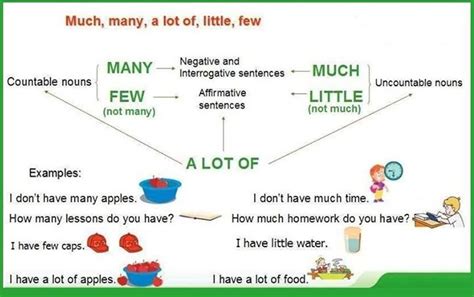 Quantifiers Much Many Some Any Few Little Eslbuzz