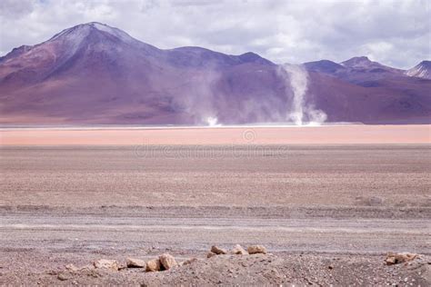 Impressive Laguna Colorada Red Lake Reflection Andean Flamingos