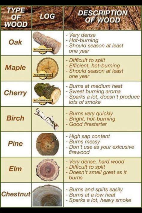 Types Of Tree Identification Chart