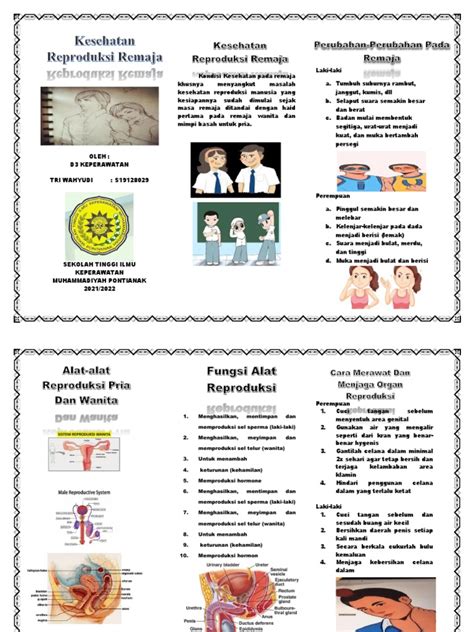 Leaflet Kesehatan Reproduksi Remaja Triw Pdf