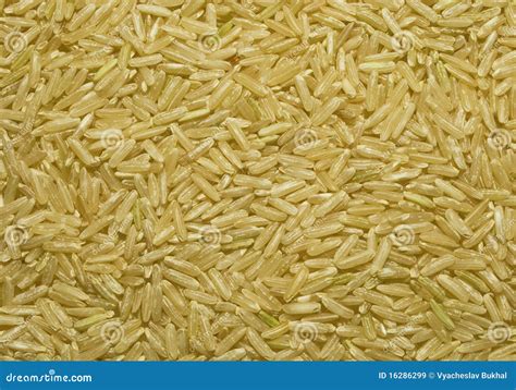 Textura Do Arroz Integral Imagem De Stock Imagem De Longo