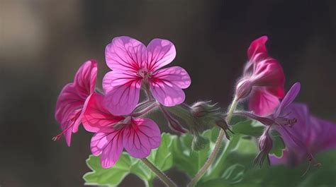 Acuarela Nica Con Flores De Geranio Foto Premium