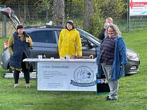 Auflage Des Hundeschwimmens Im Freizeitbad War Bestens Besucht Und