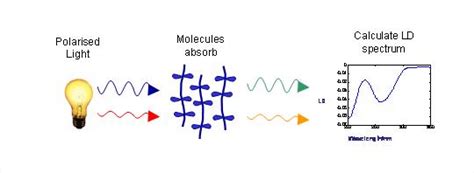 Linear Dichroism