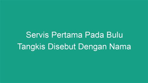 Servis Pertama Pada Bulu Tangkis Disebut Dengan Nama Geograf