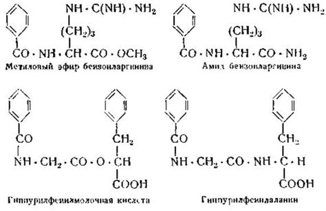 Специфичность ферментов - Белки с ферментативными свойствами