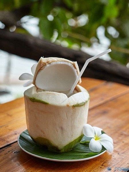 Coconut Water नारळ पाणी पिणाऱ्यांनी आरोग्याशी निगडीत या महत्त्वाच्या