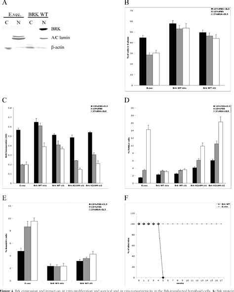 Figure 4 From Tumorigenesis And Neoplastic Progression Expression And