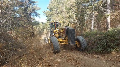 Cat 140m Orman Canavari Forest Manster Otlu Yollargrassy Roads