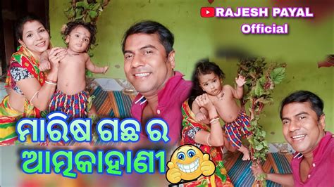 ମାରିଷ ଗଛ ଆତ୍ମ କାହାଣୀ Ll Odia Vlog Ll Village Vlog Ll Village Life Ll