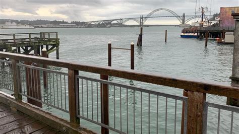 Newport Sea Lion Docks Destroyed In Winter Storm Kgw