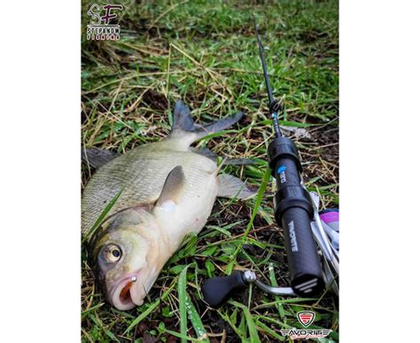 ::FAVORITE:: Спиннинг Favorite Blue Bird Nano BB1-602N-S 1.83m 0.2-1.5g ...