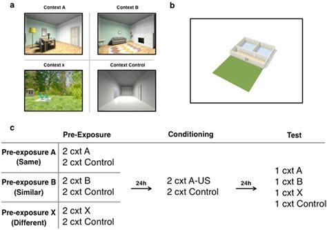 Overview Of Stimuli And Experimental Procedure For Experiment 1