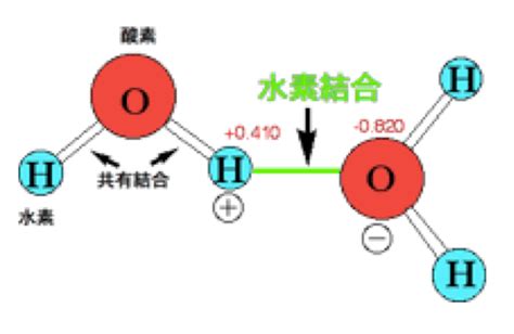 水素結合 アルコール 化学受験テクニック塾