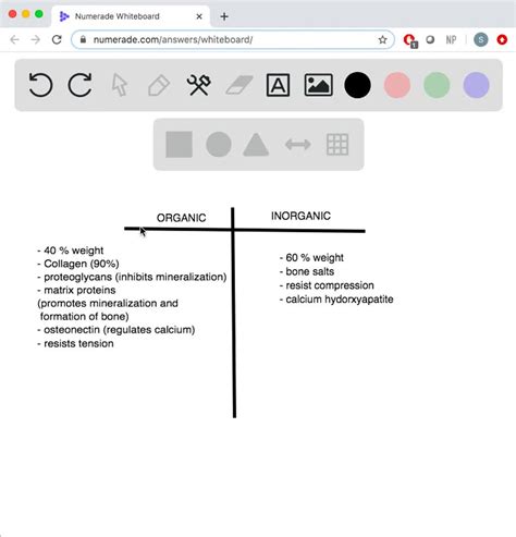 SOLVED:Name three organic components of the bone matrix.