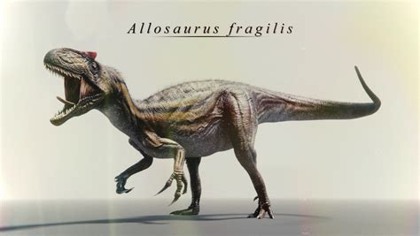 Allosaurus Fragilis By Benjee10 On Deviantart