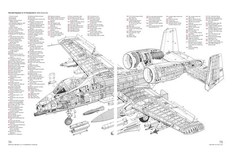 Warthog Plane Drawing