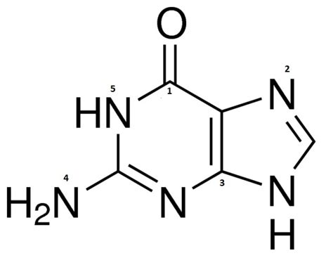 Solved Describe the effective electron pair geometries | Chegg.com