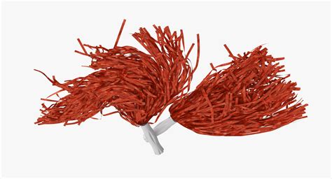 Pom Poms Collection 3d Model 49 Max Obj C4d Free3d