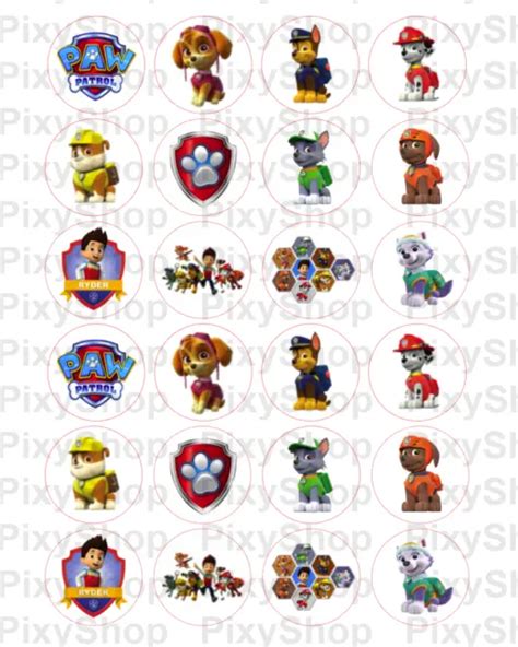 24X PAW PATROL Birthday Edible Wafer Icing Cupcake Fairy Cake Toppers