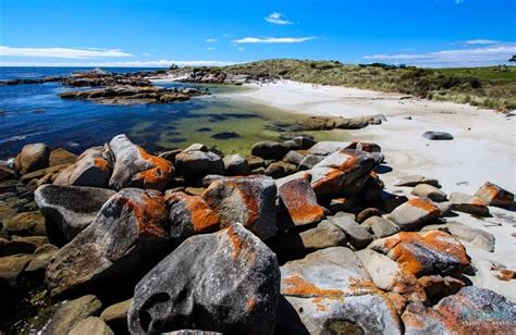 Guide To Visiting The Bay Of Fires, Tasmania