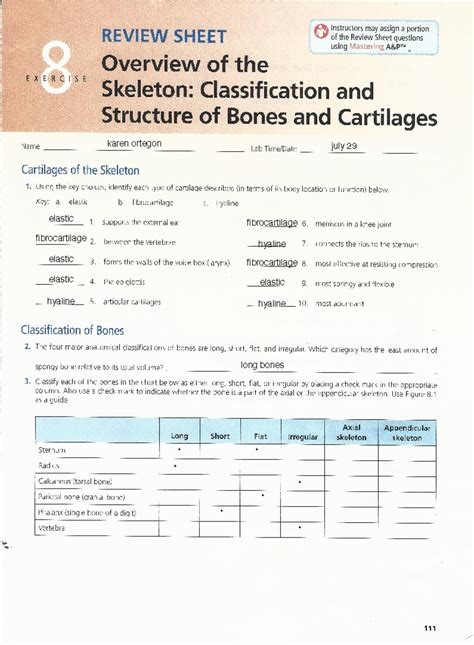 Ap Lab Ex Review Sheet Chapter Overview Of The Skeleton