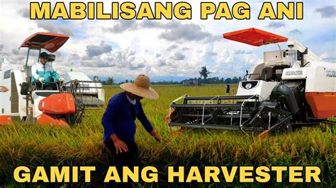 ANG MABILISANG PAG ANI NG PALAY GAMIT ANG HARVESTER SA ORIENTAL MINDORO