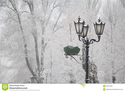 Snow-covered Street Lamps and Trees on a City Boulevard Stock Photo ...