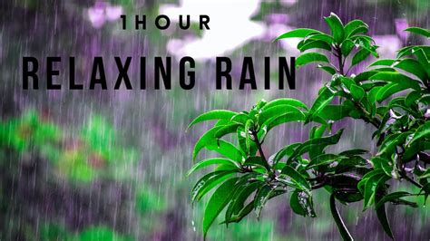 Relaxing Rain Fall Videos Beautiful Meditating Relaxing Soothing