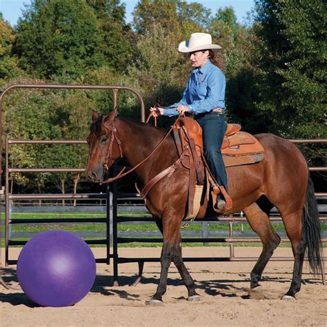 Stacy Westfall Small Activity Horse Ball Toy Item # 11178 | Horses, Horse supplies, Riding helmets