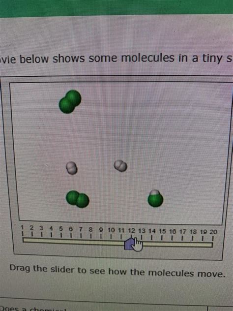 Solved The Movie Below Shows Some Molecules In A SolutionInn