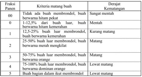 Persiapan Panen Kelapa Sawit Kunci Keberhasilan Menggali Produksi Arvis