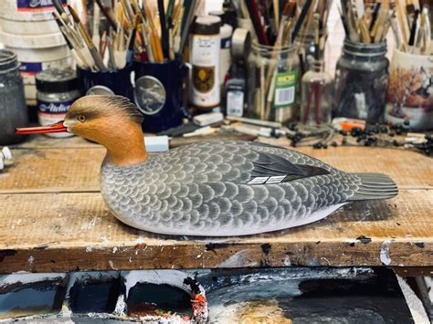 Mark Daisey Red Breasted Merganser Decoy In 2024 Decoy Breast Food