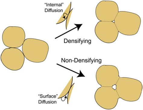 Powder consolidation by cold pressing and sintering