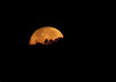 Cómo Ver Desde México La Primera Luna Llena De 2022 Infobae