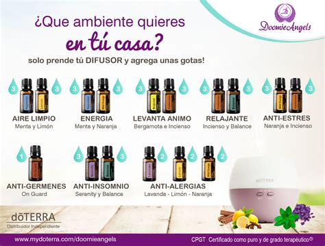 Las 4 Mejores Combinaciones De Aceites Esenciales Naturales Salud Y