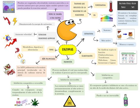 Enzimas Mapa Mental ENZIMAS Factores Que Influyen En La Velocidad De