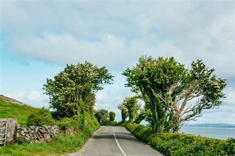 Från Galway Heldagsutflykt till Aran Islands och Cliffs of Moher