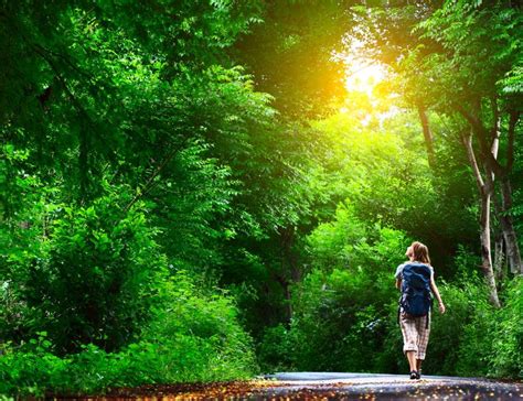 GET OUTSIDE - Why it's important to walk in nature - Freak of Natural