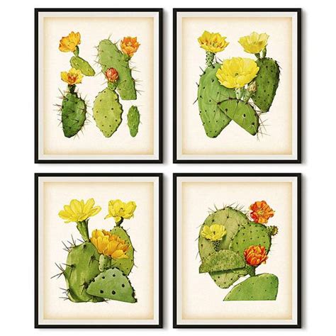 Vintage Cactus Print Set Printable Botanical Set Set Of 4 Cactus