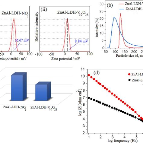 A Zeta Potential Distribution Curves B Hydrodynamic Particle Size