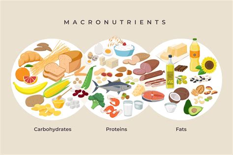 The Most Effective Weight Loss Diet And The Winner Is Atkins