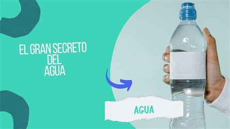 Beneficios Para Fvs Mejora Tu Salud Y Bienestar Con Estos Beneficios