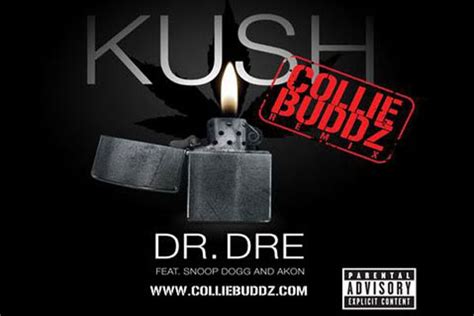 Watch Collie Buddz “come Around” Music Video And Listen To “kush” Remix