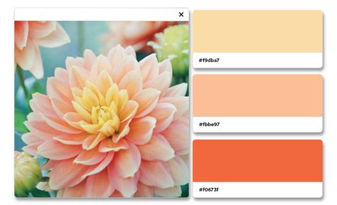 Pantone's 2024 Color of the Year: Soothed By Peach Fuzz | Looka