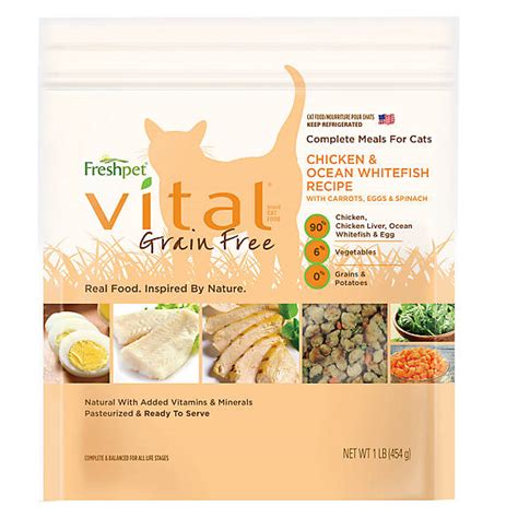 Unbiased Freshpet Cat Food Review