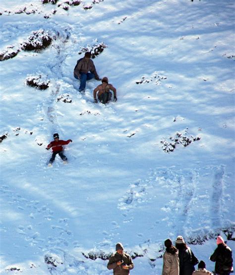 Snowfall in Shimla - Hill Post