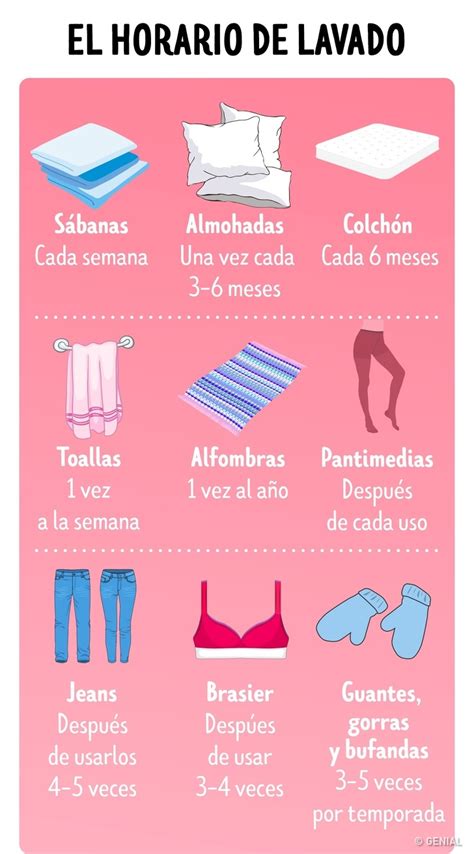 Infografías limpieza hogar Tips y Actualizaciones